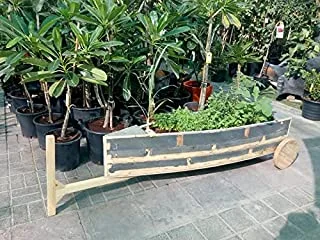 Dubai Garden Centre Potted Plants in Wooden Boat Planter