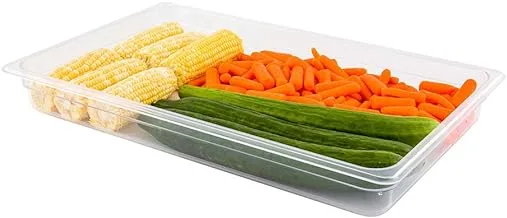 Cold Food Pan - Plastic Storage Container Full Size 2.5