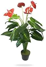 Dubai Garden Centre Anthurium Artificial Plant