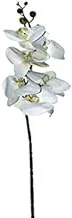 Dubai Garden Centre Artificial Phalaenopsis Orchid Stem, White