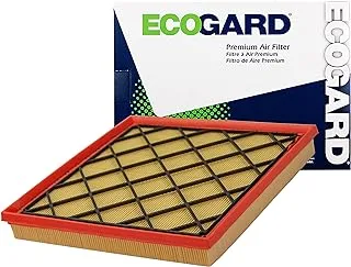 Ecogard XA6163 Premium Engine Air Filter Fits Chevrolet Cruze 1.8L 2011-2015, Limited 2016 | Buick Verano 2.0L 2013-2016