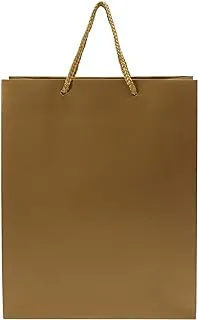 Party Time 12 Pieces Paper Bag A4 Size 26X32X12 cm, Plain Gold