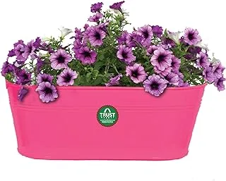 TrustBasket Metal Oval Railing Planters (Magenta)