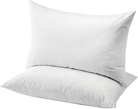 BYFT Orchard Pillow 144 Tc White Plain 100% Hollow Fiber Set of 2