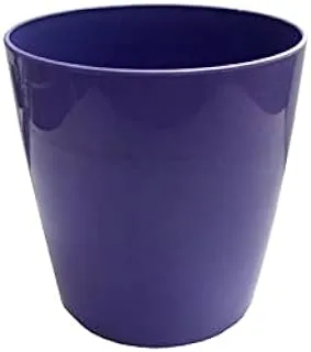 Dubai Garden Centre Plastic Plant Pot, 16 cm Size, Blue