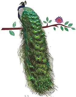 COOLBABYPeacock Animals Flower On Branch Feathers Wall Stickers 3D Vivid Wall Decals Home Decor Art Decal Poster Animals Home Deco