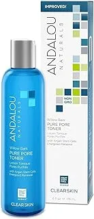 Andalou Aloe + Willow Bark Pore Minimizer, 178 ml