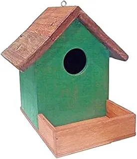 Custom Made Fancy Wooden Bird House Box, Natural Green