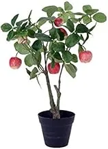 Dubai Garden Centre Artificial Apple Tree, 55 cm Height, Green/Red