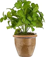 Mini 12in. Basil Artificial Plant in Ceramic Planter