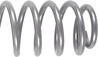 Rubicon Express 4 Front Coil Springs (Gray) - RE1345