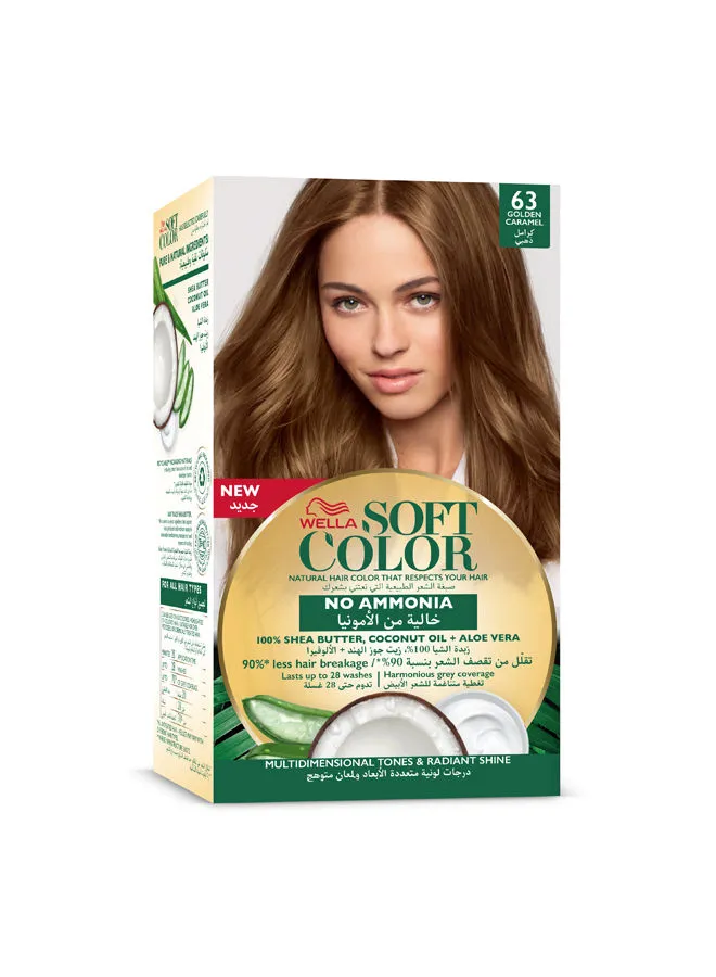 WELLA Soft Color Natural Instincts Hair Color 6/3 Golden Caramel