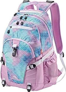 High Sierra unisex-adult Loop Backpack Backpack