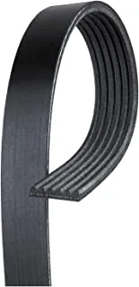 ACDelco Professional 6K431 Standard V-Ribbed Serpentine Belt