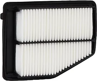 ECOGARD XA6171 Air Filter