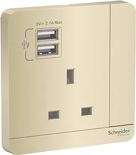 Schneider Electric AvatarOn, 1 Gang, Socket with USB, 13A, Wine Gold, E8315USB_WG_G12