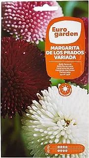 Euro Garden Belli Pomponette Seeds