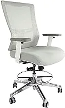 Mahmayi Isu 95550 High Back Ergonomic Mesh Office Chair With Draft Kit (High Back, White)