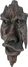 The spirit of nottingham woods: greenman tree sculpture