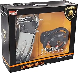 1:10 License R/C Lamborghini Car