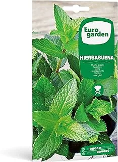 SEMILLAS FITO SPEARMINT - HIERBABUENA