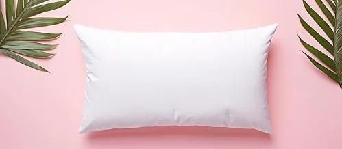 Rahalife Pillow | Soft White | Microfibre | 48X70 cm