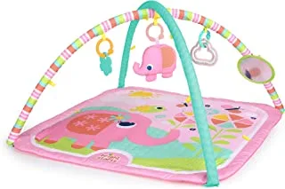 Bright Starts Fanciful Flowers™ Activity Gym, Piece Of 1