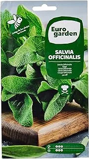 Euro Garden Salvia Sage Seeds 2 G