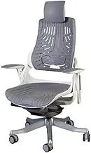 Mahmayi Robotto 609 High-Back Modern Office Ergonomic Mesh Chair with Adjustable-Backrest, Caster Wheels, and Lumbar Support for Productivity and Comfort at Home or Work- High Back, Grey