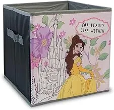 Disney Princess Moldproof And Moistureproof Collapsible Storage Box Without Lids Holds 5Kg Weight Official Product, Multicolor