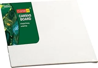 Camlin Acrylic Primer Stretched Canvas Board Paper, 35 cm x 45 cm Size