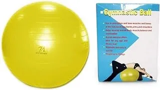 TA Sport LS-2872-85 Anti Burst Gym Ball with Foot Pump, 85 cm Diameter