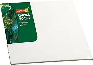 Camlin Acrylic Primer Stretched Canvas Board Paper, 20 cm x 20 cm Size