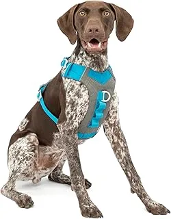 Kurgo Journey Air Harness, Dog Harness for Running and Walking, Lightweight, Breathable, Medium-Blue