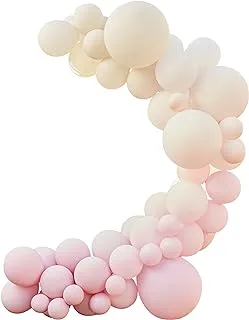 Nude and Pink Balloon Arch Kit