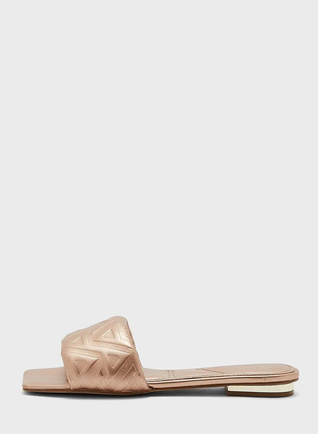 ALDO Cleony Flat  Sandals