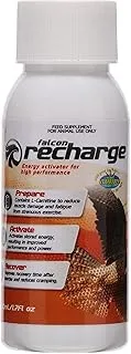 Vetafarm Falcon Recharge 50 ml