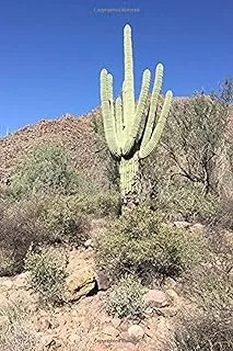 Saguaro Cactus in the Desert Journal: دفتر ملاحظات مسطر من 150 صفحة / يوميات من إعداد Cs Creations - غلاف عادي