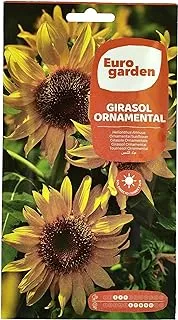 Euro Garden Sunflower Seeds 8 G, Multicolor