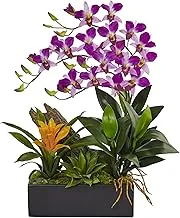 طبيعي تقريبًا N / Adendrobium Orchid & Bromeliad Dendrobium Orchid و Bromeliad Silk Arrangement ، أرجواني (1470-صفحة)