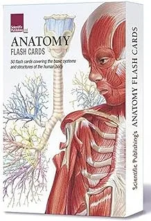 Anatomy Flash Cards