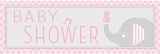 Creative Converting Little Peanut Girl Giant Party Banner Baby Shower 20-Inch Size X 60-Inch Size, Pink