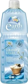 Earth Choice Liquid Detergent - 1 L