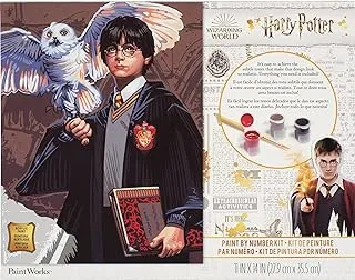 Dimensions PaintWorks Hedwig and Harry Potter Paint by Number Kit for Adults and Kids, Finished Project 11