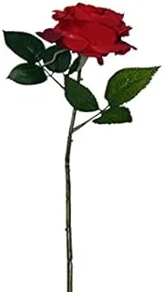 Dubai Garden Centre Artificial Dark Red Rose Stem