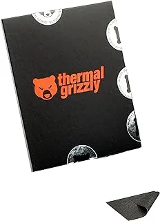 Thermal Grizzly Carbonaut Thermal Pad 31 × 25 × 0.2 Mm