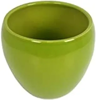 Dubai Garden Centre Mundo Bolpot, 10 cm Height, Lime