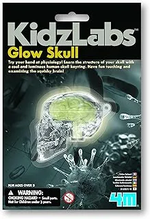 4M Glow Skull Educational Toy