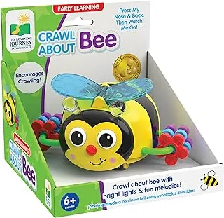 The Learning Journey Crawl About Bee