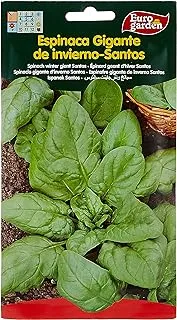 Euro Garden Spinach Seeds 15 G